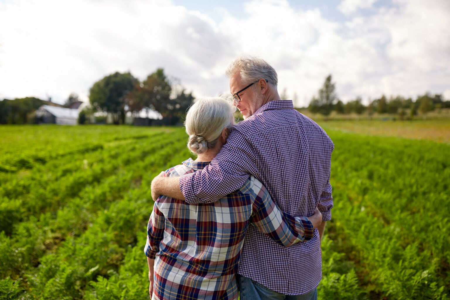 farming, gardening, agriculture and people concept - happy senior couple at summer farm